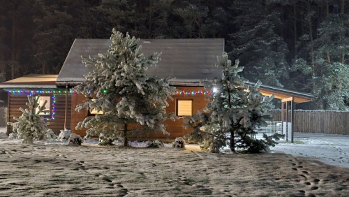 photo_2025-11-30_12-55-20