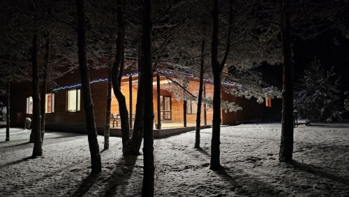 photo_2025-11-30_12-55-30